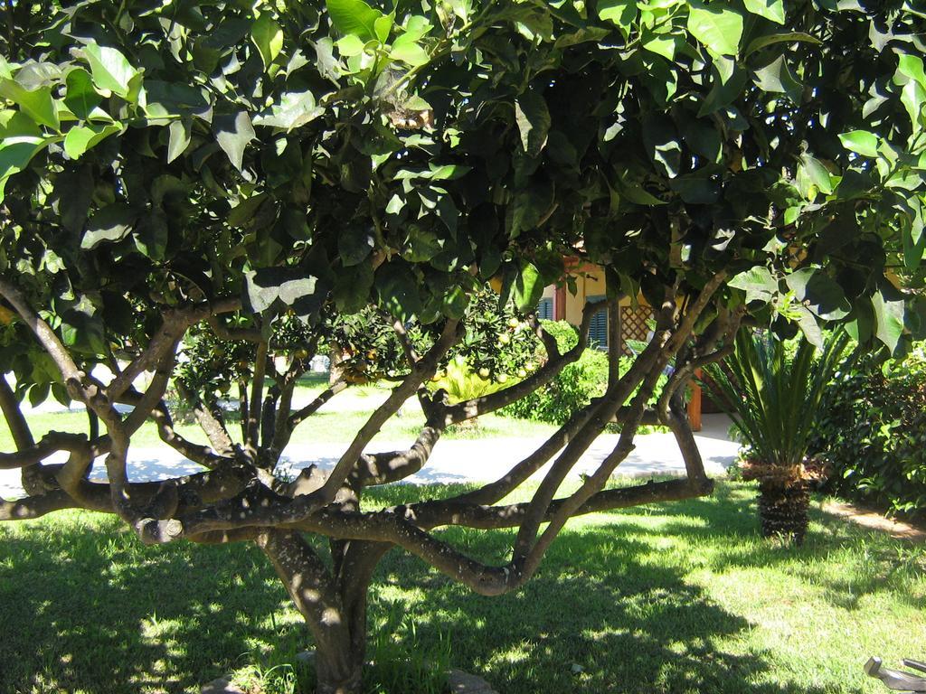 Tenuta Paifer Отранто Екстериор снимка